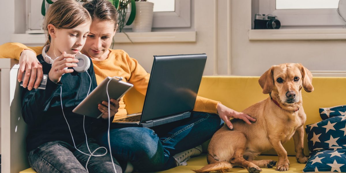 Mother and daughter sitting on yellow sofa with small yellow dog and using tablet and laptop